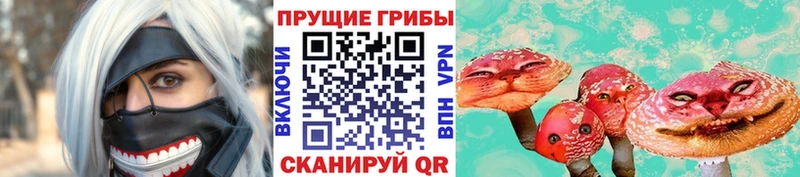 хочу   Грайворон  Псилоцибиновые грибы Magic Shrooms 